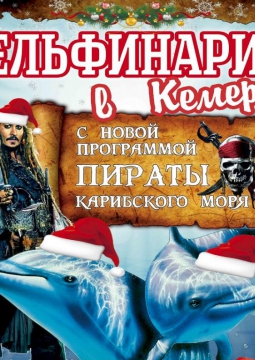 Дельфины и пираты карибского моря