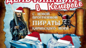 Дельфины и пираты карибского моря