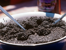 Раньше, чаще, больше: ноу-хау ростовских ученых в получении черной икры