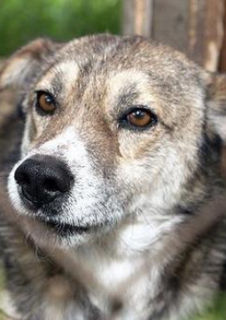 ВОЗЬМИ МЕНЯ С СОБОЙ