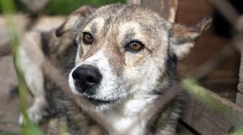 ВОЗЬМИ МЕНЯ С СОБОЙ