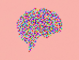 Использует ли наш мозг глубокое обучение для осмысления мира?