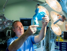 Учёные обнаружили в человеческом теле новый орган