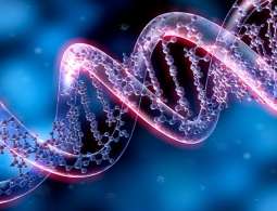 Ученые: 83% россиян оказались друг другу родственниками