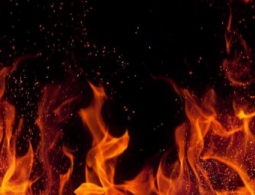 Почему нам больно от горячего и холодного?