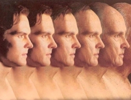 Российские ученые замедлили старение клеток при помощи гормона сна