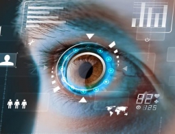 Создан мозговой имплант, восстанавливающий зрение