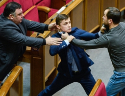 Украинский депутат рассказал, почему в Верховной раде происходят драки