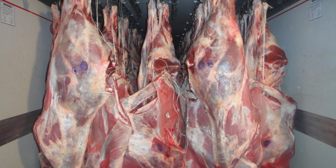 На Брянщину не дали пповезти 16,5 тонн  говядины из Белоруссии