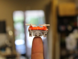 Роботы против насекомых: почему крошечные дроны проигрывают пчелам?