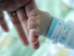 Брянская область вошла в шестерку самых "не плодовитых"
