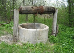 Не плюй в колодец: в Брянской области бесхозные колодцы дают воду для людей