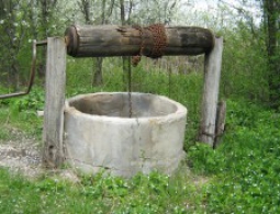 Не плюй в колодец: в Брянской области бесхозные колодцы дают воду для людей