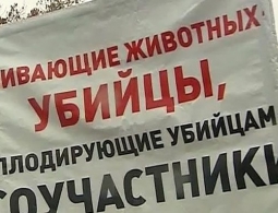 В Брянске убийцы собак снова творят зверства