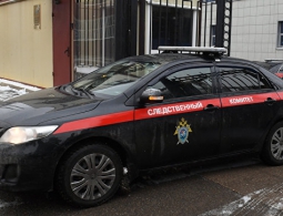 Обвиняемые в убийствах животных в Хабаровске признали свою вину