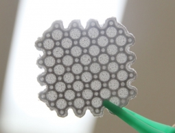 Специалисты ТПУ представили костный имплантат нового типа