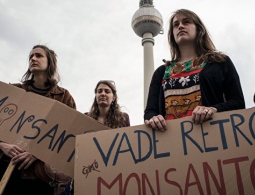 Российские математики объяснили существование "окна Овертона"