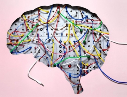 Создано гибкое волокно, проводящее импульсы до мозга и обратно