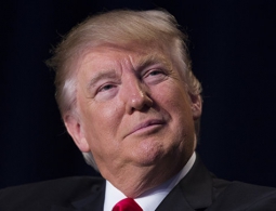 Трамп шутливо поздравил с назначением нового главу Нацкомитета Демпартии