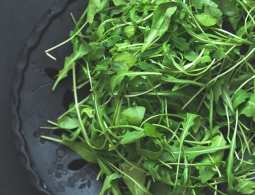 Руккола: 5 самых вкусных рецептов с салатом