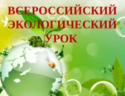 «Всероссийский экологический урок «Сделаем вместе!» пройдёт в брянской области