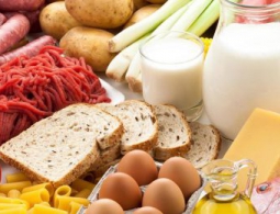 Можно ли прожить, питаясь только одним видом пищи?