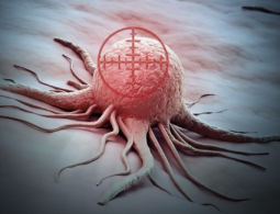 Найден способ уничтожать раковые клетки, оставляя в живых здоровые