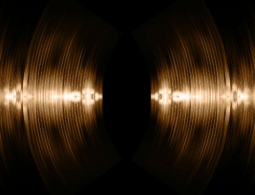 Люди могут овладеть эхолокацией, как дельфины. И это удивительно просто