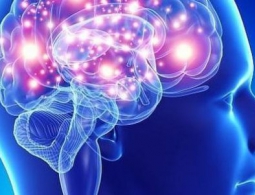 Для лечения повышенного давления впервые использована глубокая стимуляция мозга