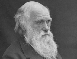 Ученые выяснили, почему креационизм не прижился в России