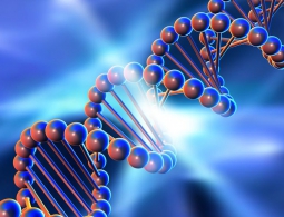 Учёные доказали возможность создания компьютеров на основе ДНК