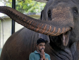 Ученые выяснили, какое животное меньше всего спит