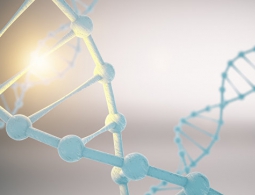 СМИ: российские ученые успешно протестировали препарат от всех видов рака