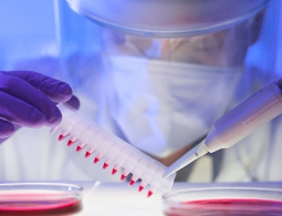 Российские физики научили ультразвук находить и убивать раковые клетки