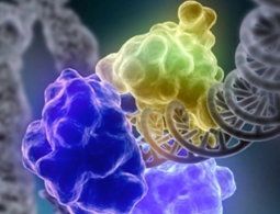 Наночастицы из мочевины и лимонной кислоты помогут в борьбе с опасными заболеваниями