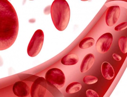 Российские ученые разработали уникальную технологию создания искусственных сосудов