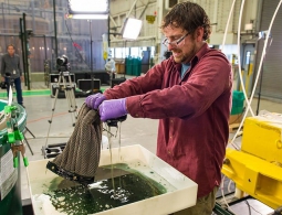 Создана губка, способная очистить океан от нефти и нефтепродуктов