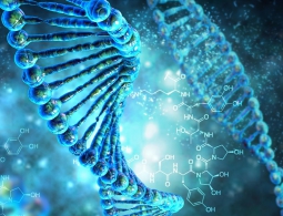 Код операционной системы записали в молекулу ДНК