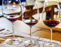 Ученые установили, какой компонент красного вина замедляет старение мозга