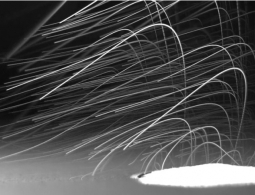 Хотите знать, почему после дождя так приятно пахнет?