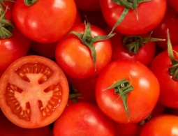 Странный эксперимент, который может обеспечить будущих марсиан помидорами