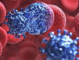 Группе учёных удалось вырастить обезьян с иммунитетом к ВИЧ