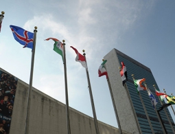 Жесткая сила вместо мягкой: ради армии США урезают бюджеты ООН и USAID