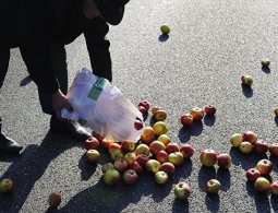 В Британии доказали, что "правило пяти секунд" для упавшей еды работает