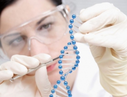 С помощью генной терапии впервые удалось предотвратить развитие слепоты