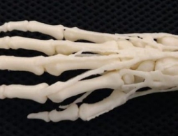 Американские госпитали начнут печатать протезы на 3D-принтерах