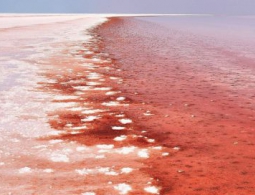 Сложная жизнь могла появиться намного раньше, чем полагали