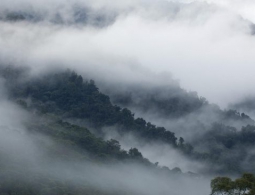 «Туманные» хранилища могут стать безопасной альтернативой «облачным»