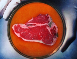 Компания Memphis Meats получила мясо курицы и утки в пробирке