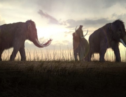 Давно вымершие виды ставят в очередь на воскрешение